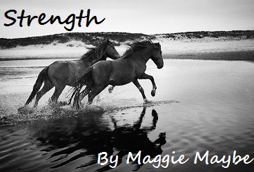 stories/1620/images/Strength2.jpg